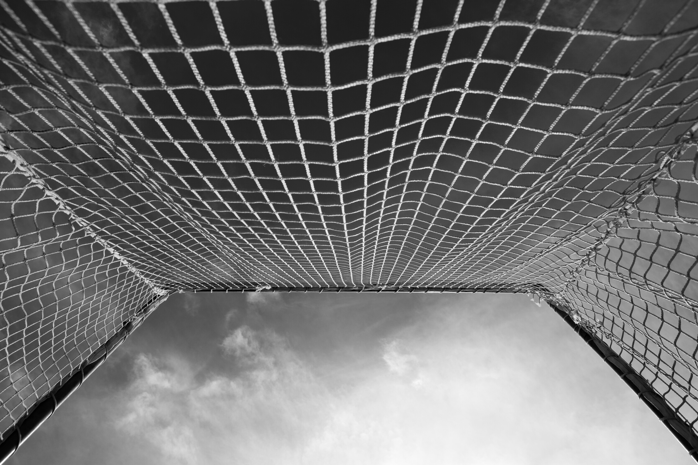 Inside a Lacrosse goal